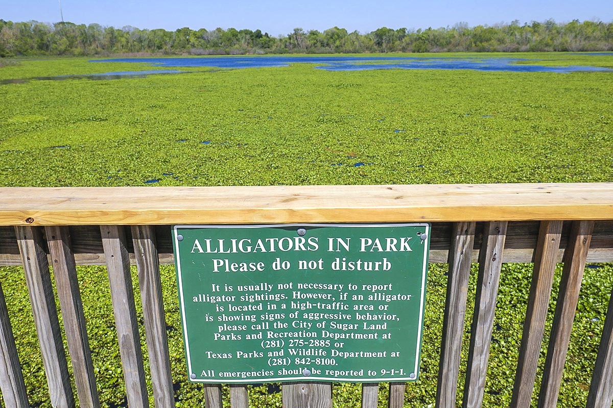 Do-Not-Disturb-the-Gators-edit